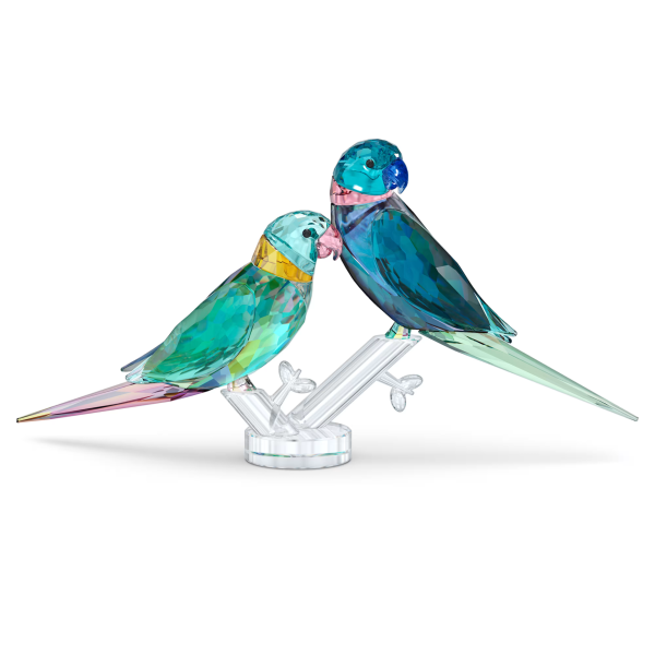 JUNGLE BEATS:PARAKEET COUPLE