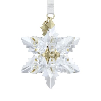 ANNUAL EDITION:ORNAMENT 3D 2024