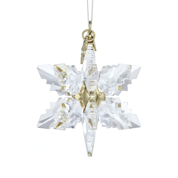 ANNUAL EDITION:ORNAMENT 3D 2024