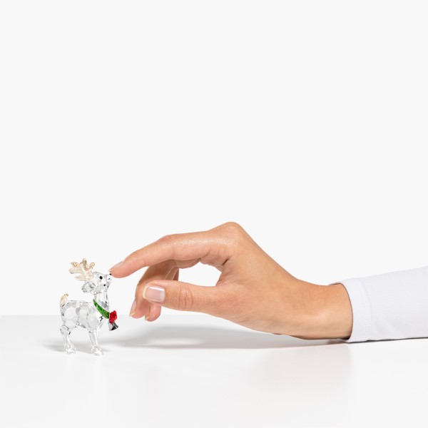 JOYFUL:SANTAS REINDEER