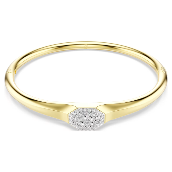 DEXTERA:BANGLE TAG CRE/GOS S