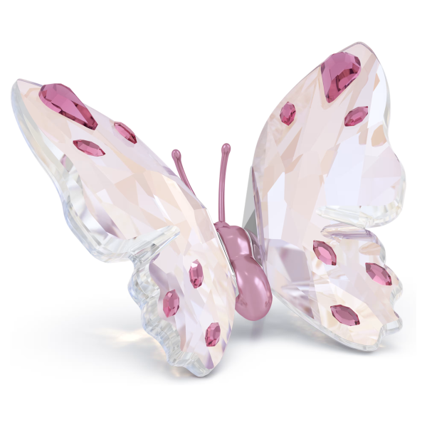 IDYLLIA:BUTTERFLY PINK