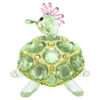 IDYLLIA:TORTOISE AND DAISY