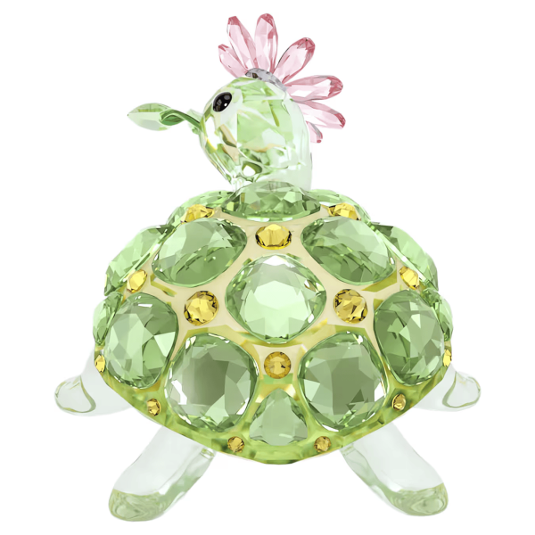 IDYLLIA:TORTOISE AND DAISY