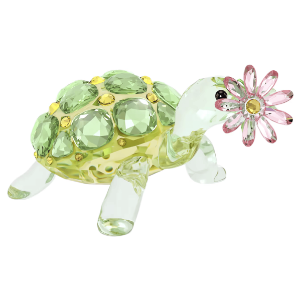 IDYLLIA:TORTOISE AND DAISY